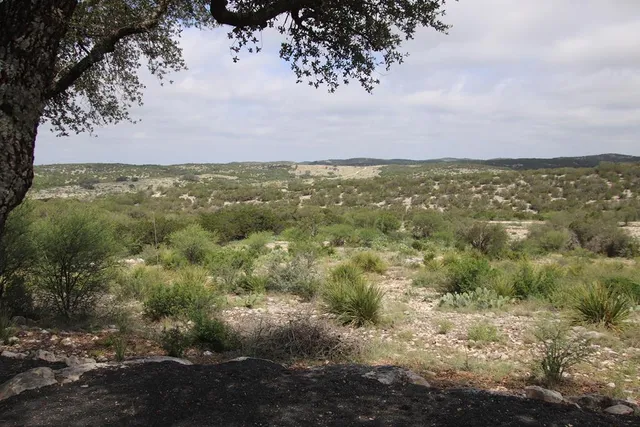 a front view of a house with mountain view and a garden