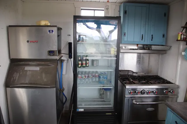 a view of a forest with a tree