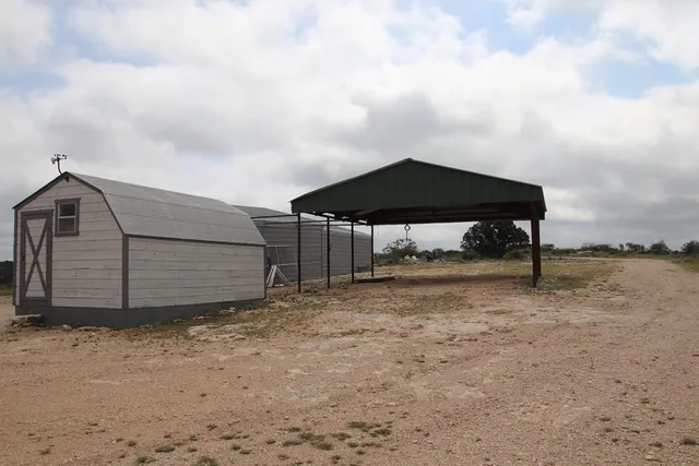 a view of a yard with plants and large trees