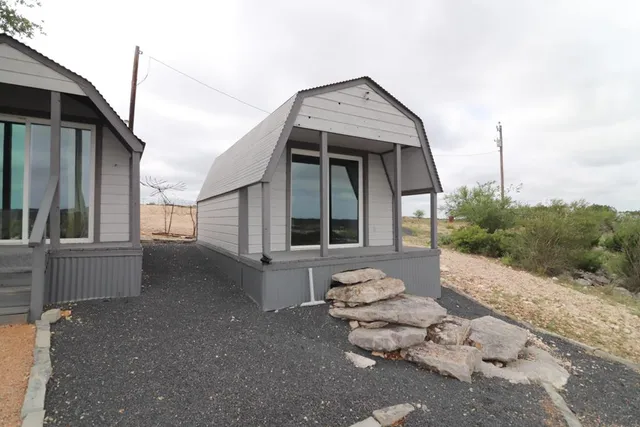 a view of a yard with plants and large trees