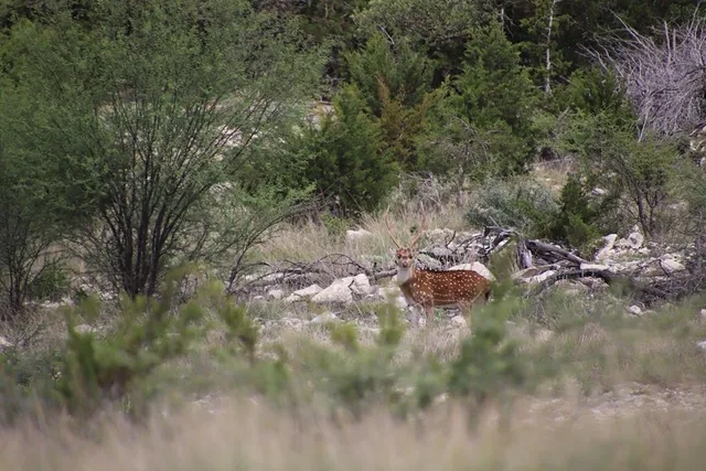 $1,999,000 | 45200 Rr 674, Brackettville, TX 78832