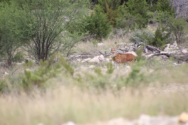 $1,999,000 | 45200 Rr 674, Brackettville, TX 78832