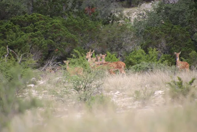 $1,999,000 | 45200 Rr 674, Brackettville, TX 78832