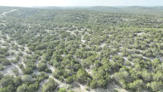 a living room with furniture a window and a chandelier