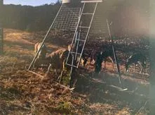 $1,999,000 | 45200 Rr 674, Brackettville, TX 78832