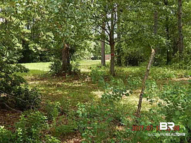 0 Country Squire Lane Stapleton, AL 36578 - Photo 5 of 5