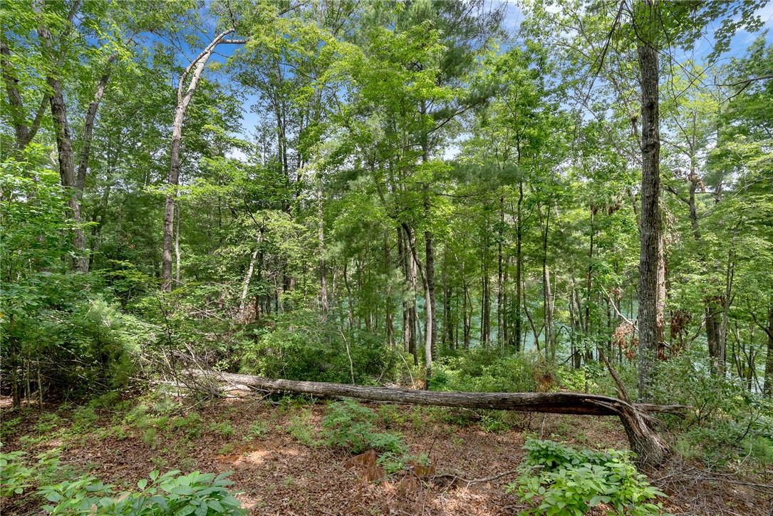 913 Rippling Water Way Salem, SC 29676 - Photo 12 of 15
