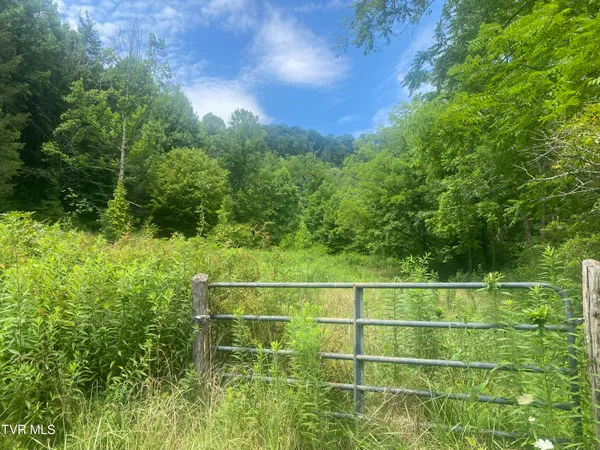 $375,000 | 638 Old Highway 143, Roan Mountain, TN 37687