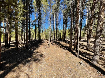 a view of a park with trees and a pathway