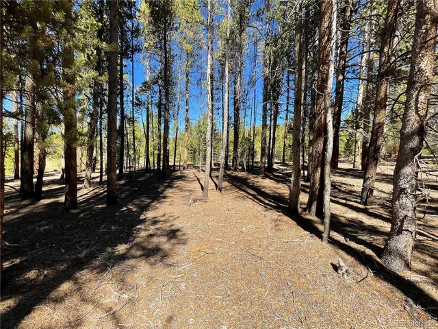 a view of a park with trees and a pathway