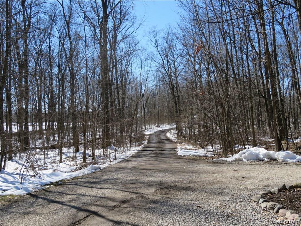 2663 Fisk Road Howell, MI 48843 - Photo 3 of 31 Wooded front yard.JPG
