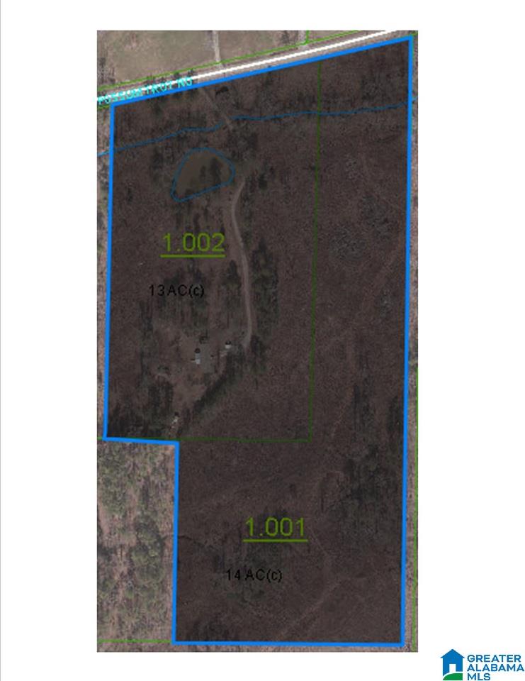 3360 Possum Trot Road Piedmont, AL 36272 - Photo 7 of 7