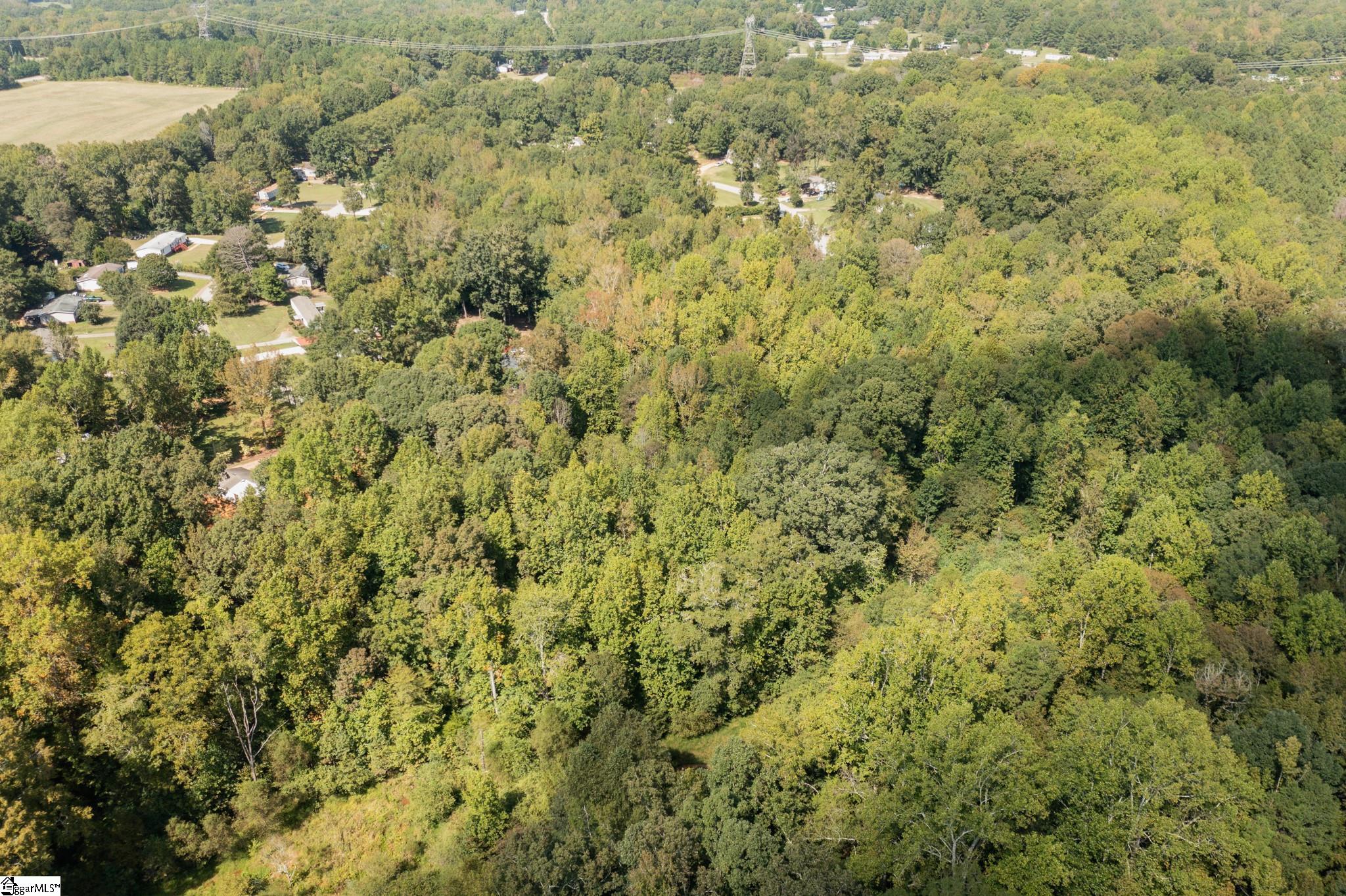 0 Kimbark Lane, Unit LOT 42 Gray Court, SC 29645 - Photo 17 of 36