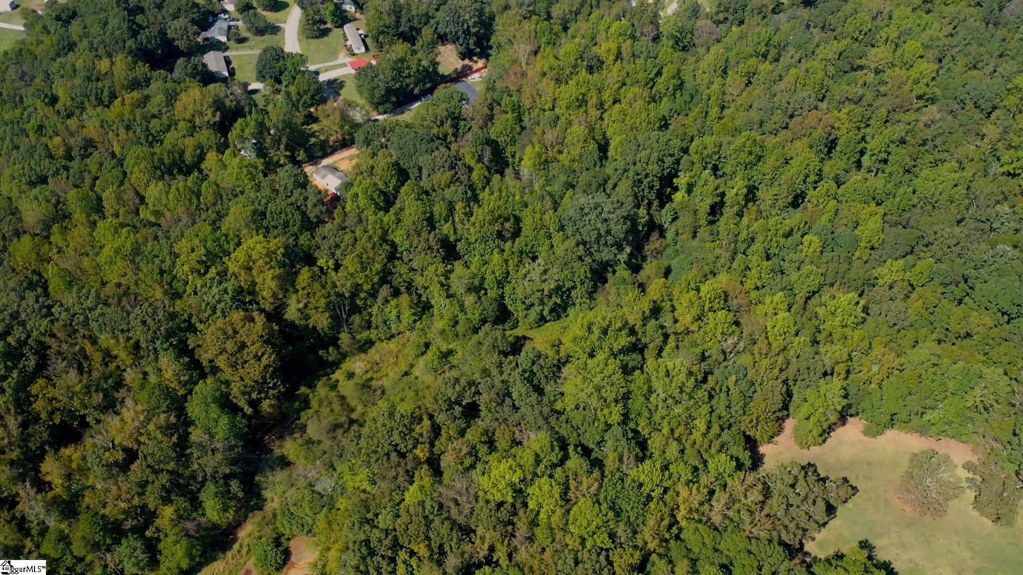 0 Kimbark Lane, Unit LOT 42 Gray Court, SC 29645 - Photo 18 of 36