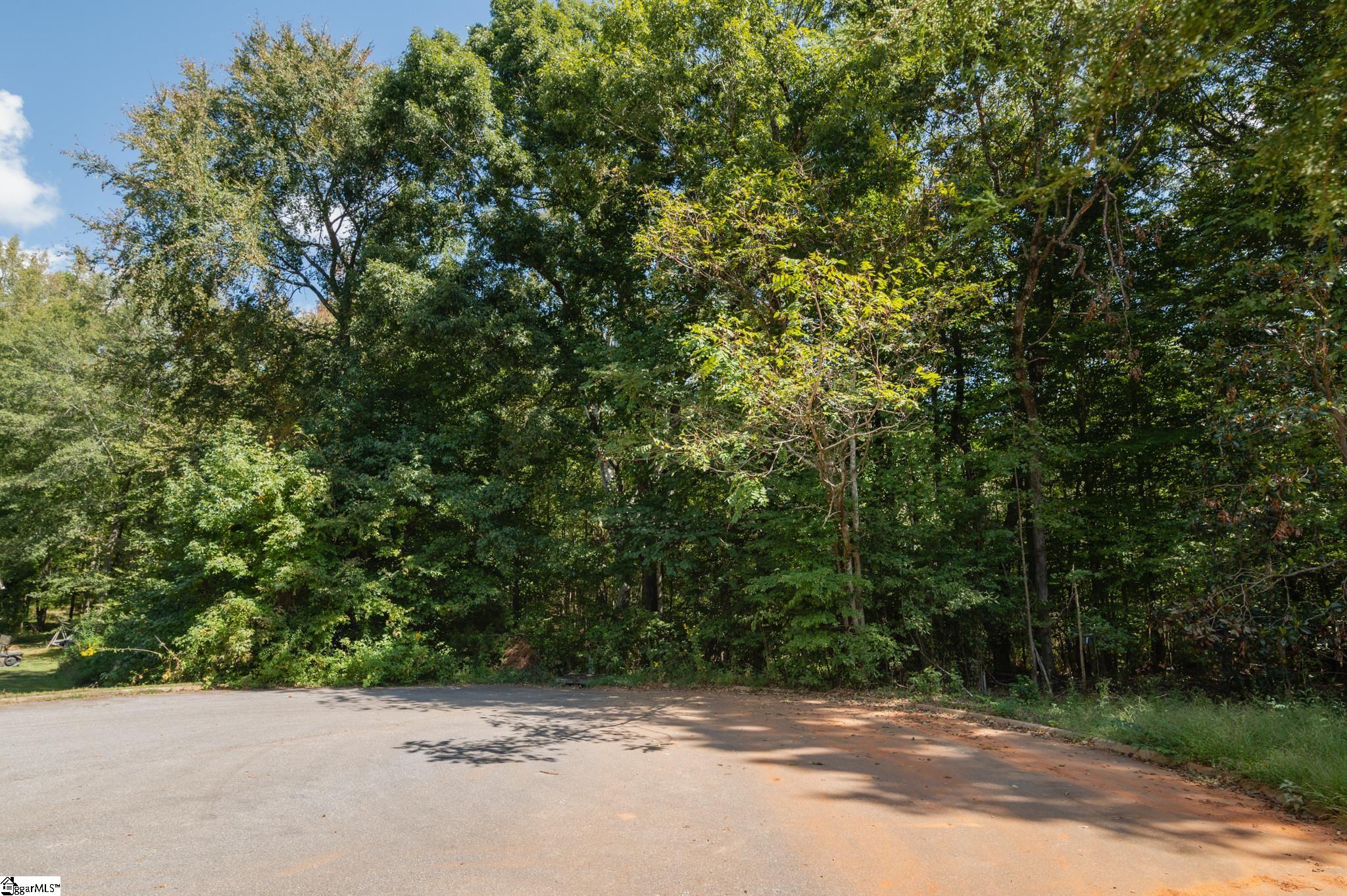 0 Kimbark Lane, Unit LOT 42 Gray Court, SC 29645 - Photo 29 of 36