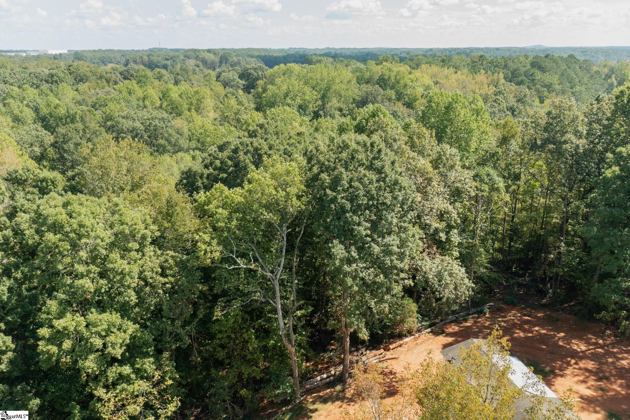 0 Kimbark Lane, Unit LOT 42 Gray Court, SC 29645 - Photo 3 of 36