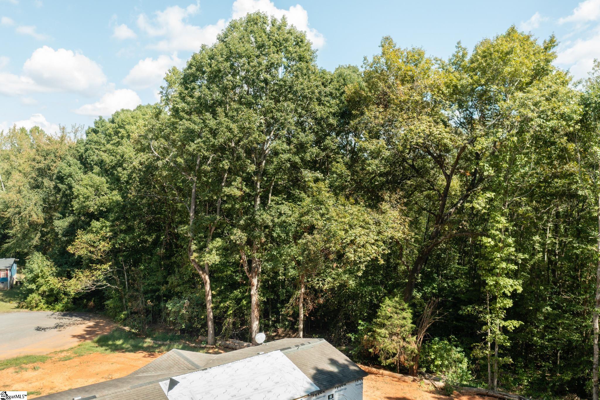 0 Kimbark Lane, Unit LOT 42 Gray Court, SC 29645 - Photo 33 of 36