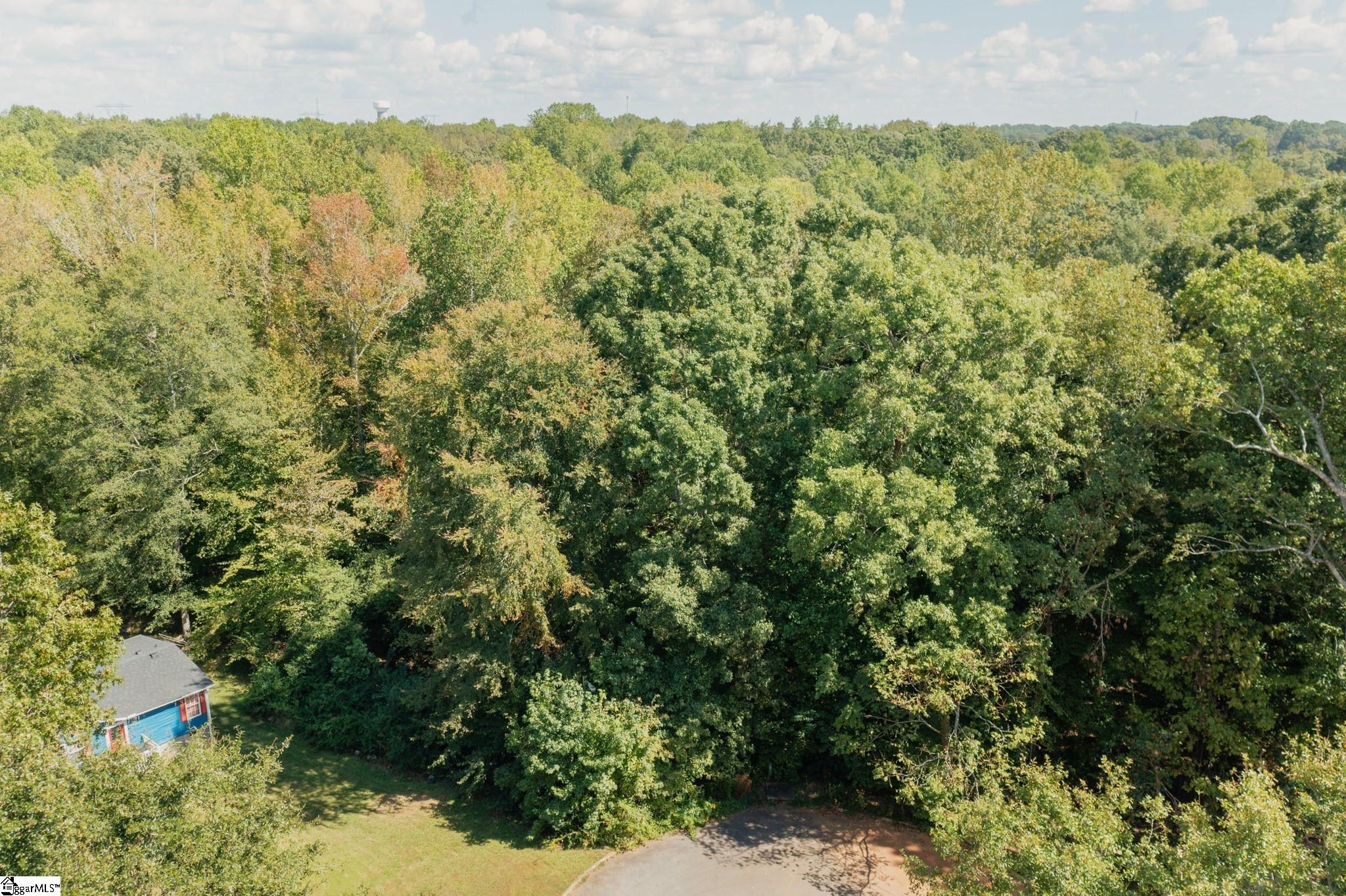 0 Kimbark Lane, Unit LOT 42 Gray Court, SC 29645 - Photo 4 of 36