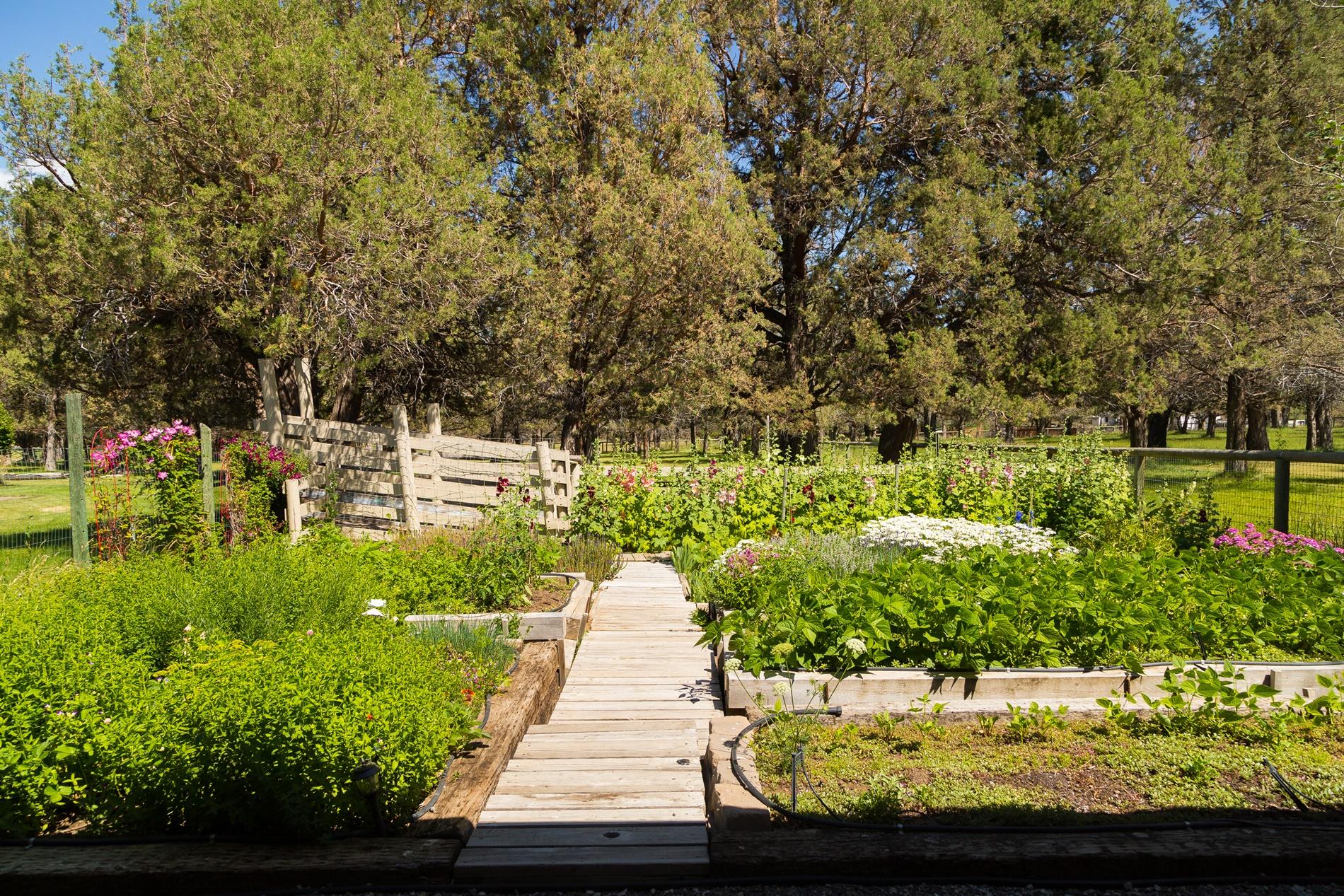 64980 Gerking Market Road Bend, OR 97703 - Photo 28 of 35 View from the covered porch of the studio space looking at the raised beds. They have had them all planted with veggies over the years, but not it is mostly flowers.