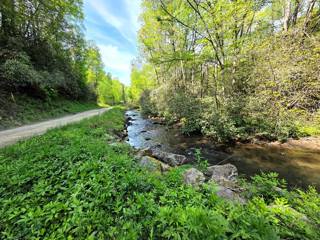 795 Porter Field Gap Road Robbinsville, NC 28771 - Photo 62 of 105