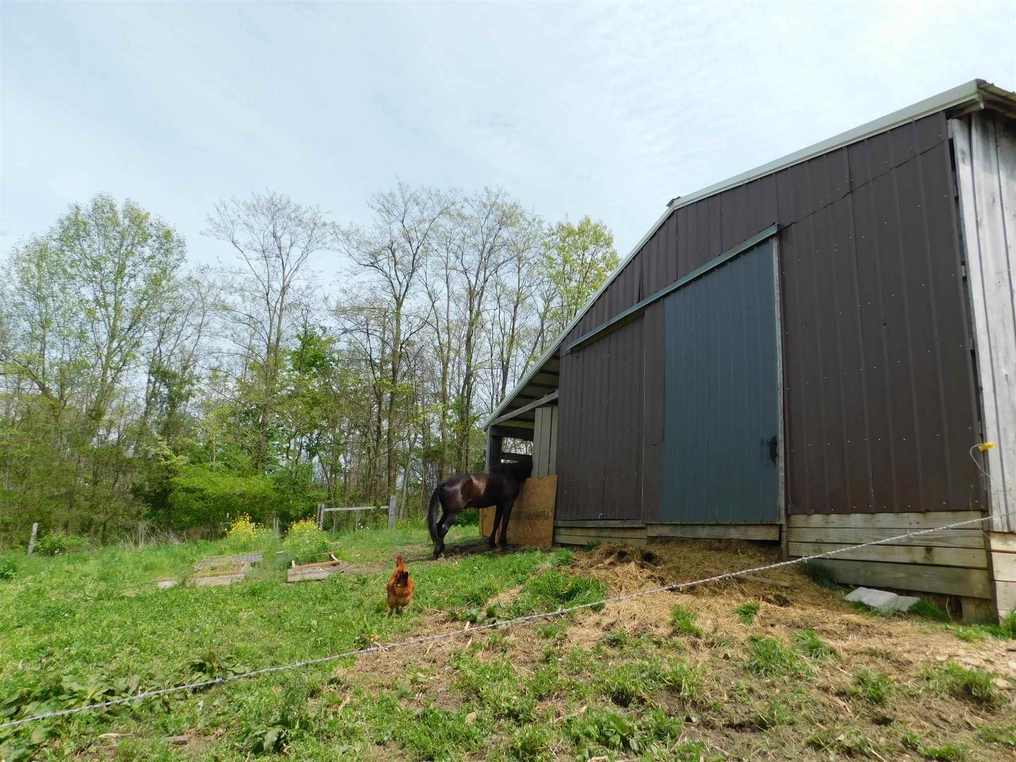 10728 East Read Road Salem, IN 47167 - Photo 14 of 36