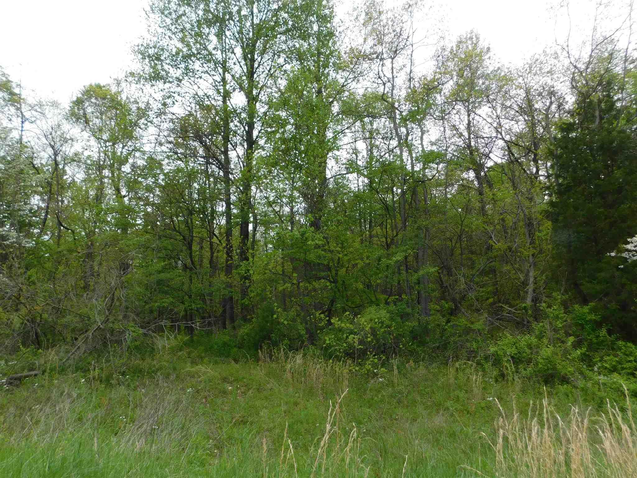 10728 East Read Road Salem, IN 47167 - Photo 33 of 36