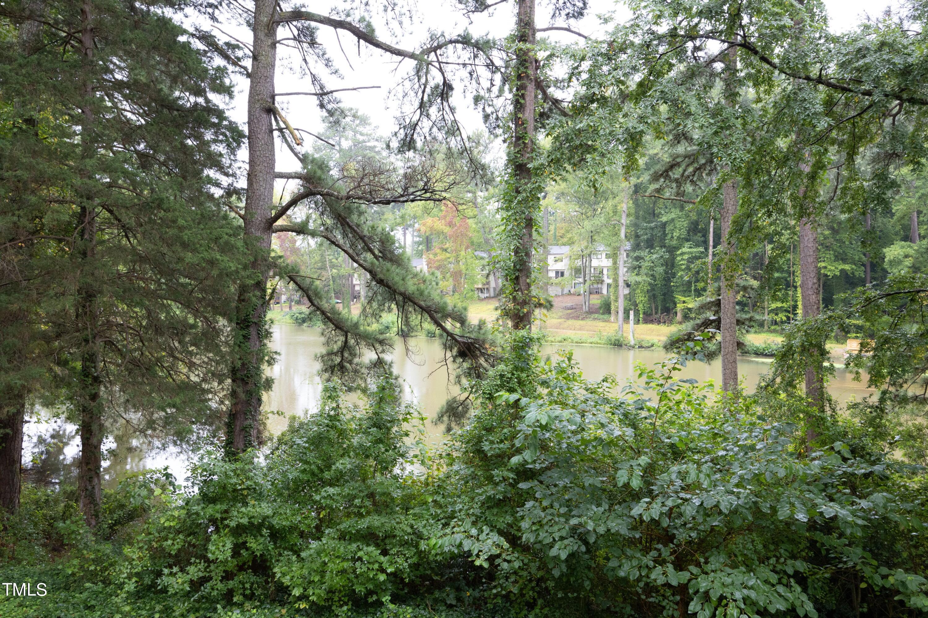 630 Pine Ridge Place Raleigh, NC 27609 - Photo 26 of 29 28LakeView