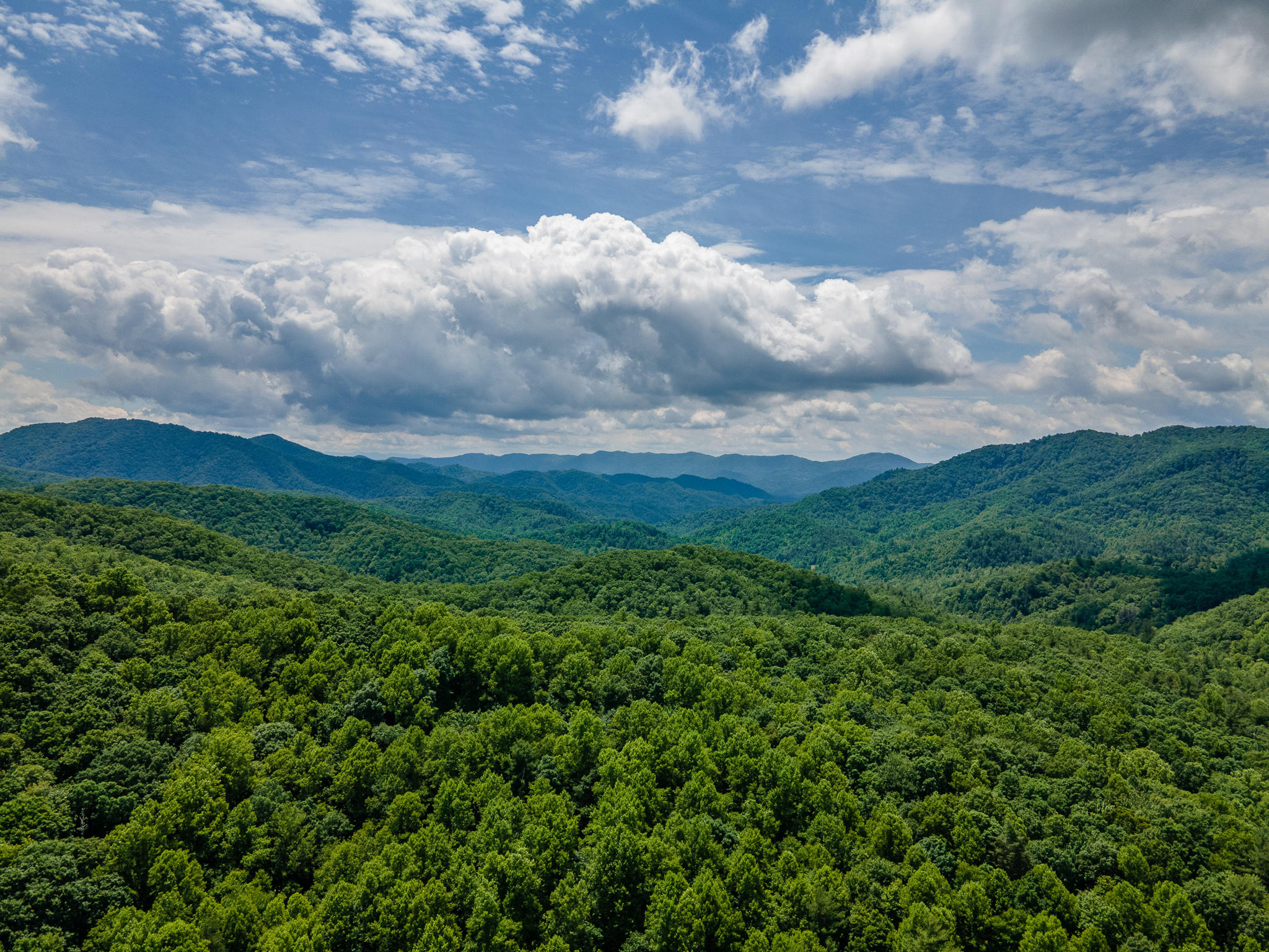 409 Log Cabin Road Greeneville, TN 37743 - Photo 46 of 48 Log Cabin Rd 17