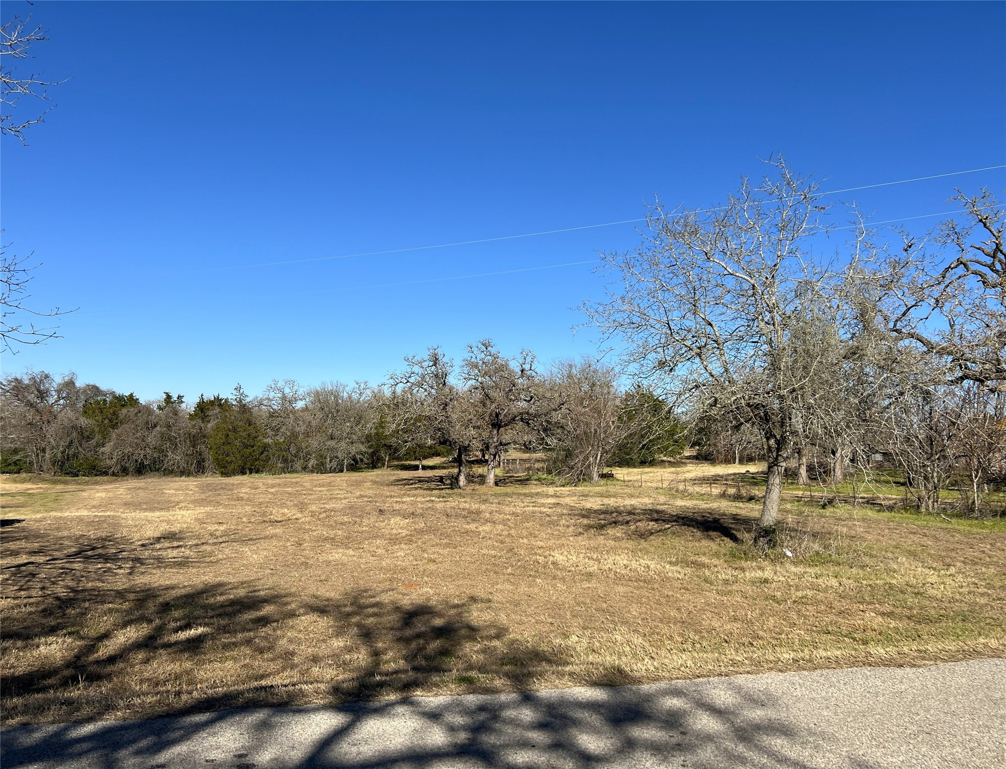 Tbd Rosanky Cattle Company Road Smithville, TX 78957 - Photo 5 of 40 a view of outdoor space with trees