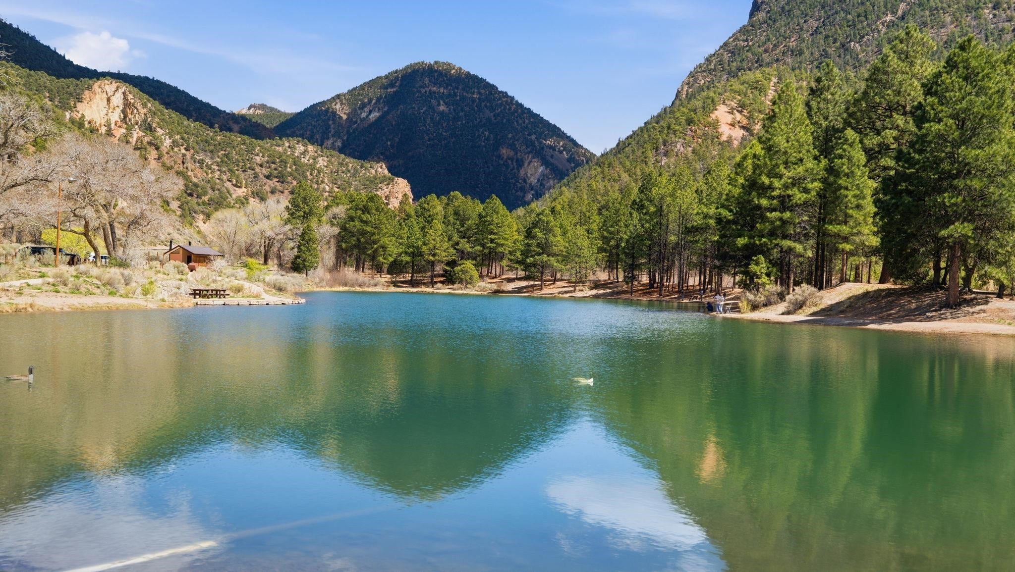 2495 Old Red River Road Questa, NM 87556 - Photo 42 of 50 Gallery Image 42