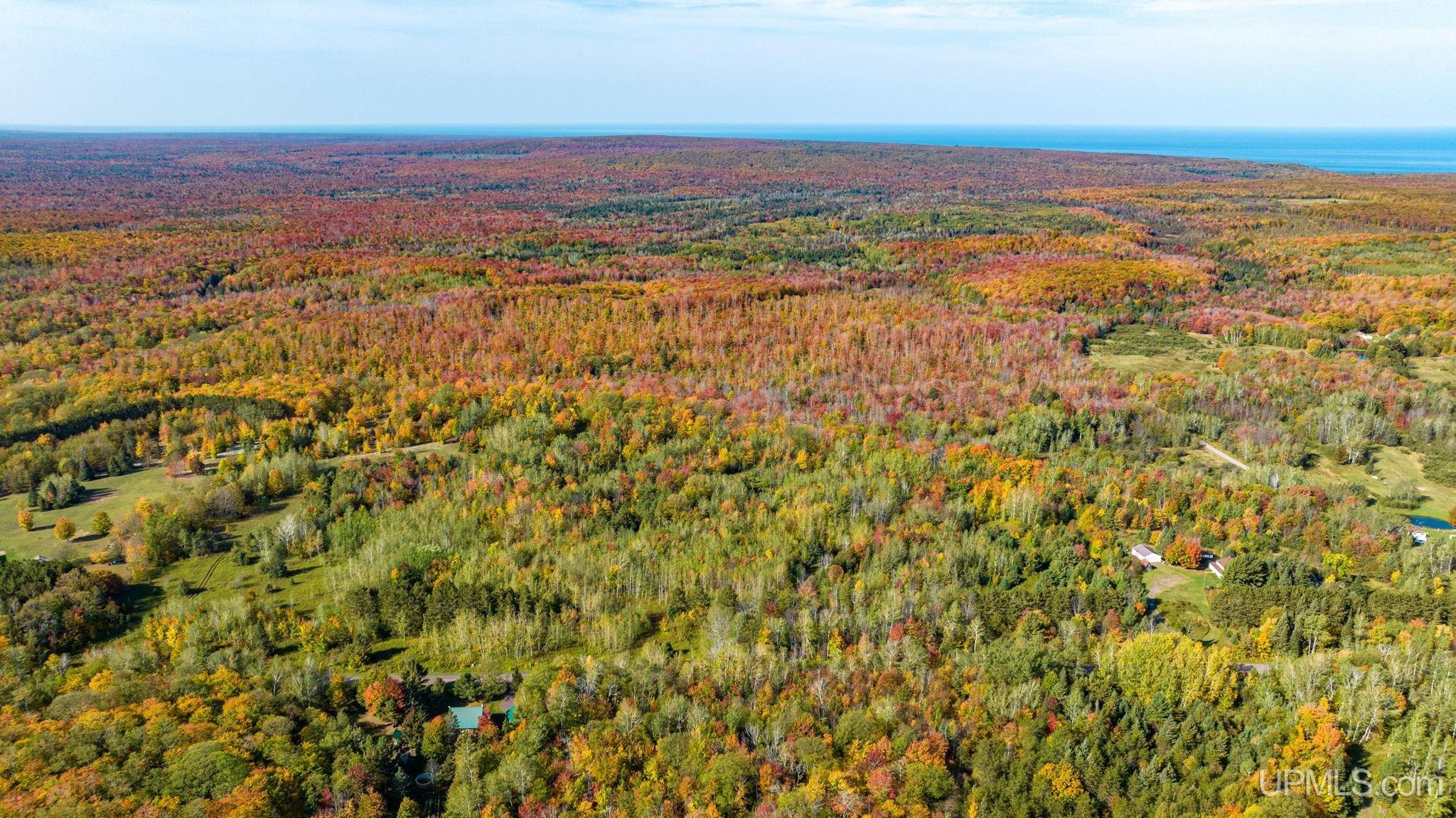 48649 Larson Road Atlantic Mine, MI 49905 - Photo 10 of 47 Gallery Image 10