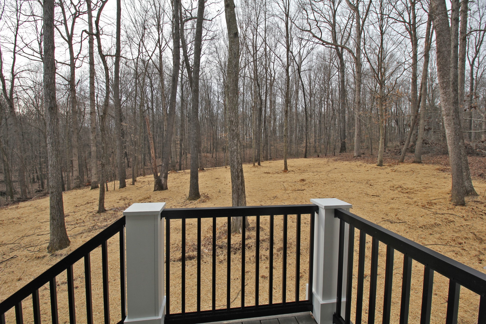 2935 Friendship Road Cross Plains, TN 37049 - Photo 26 of 35