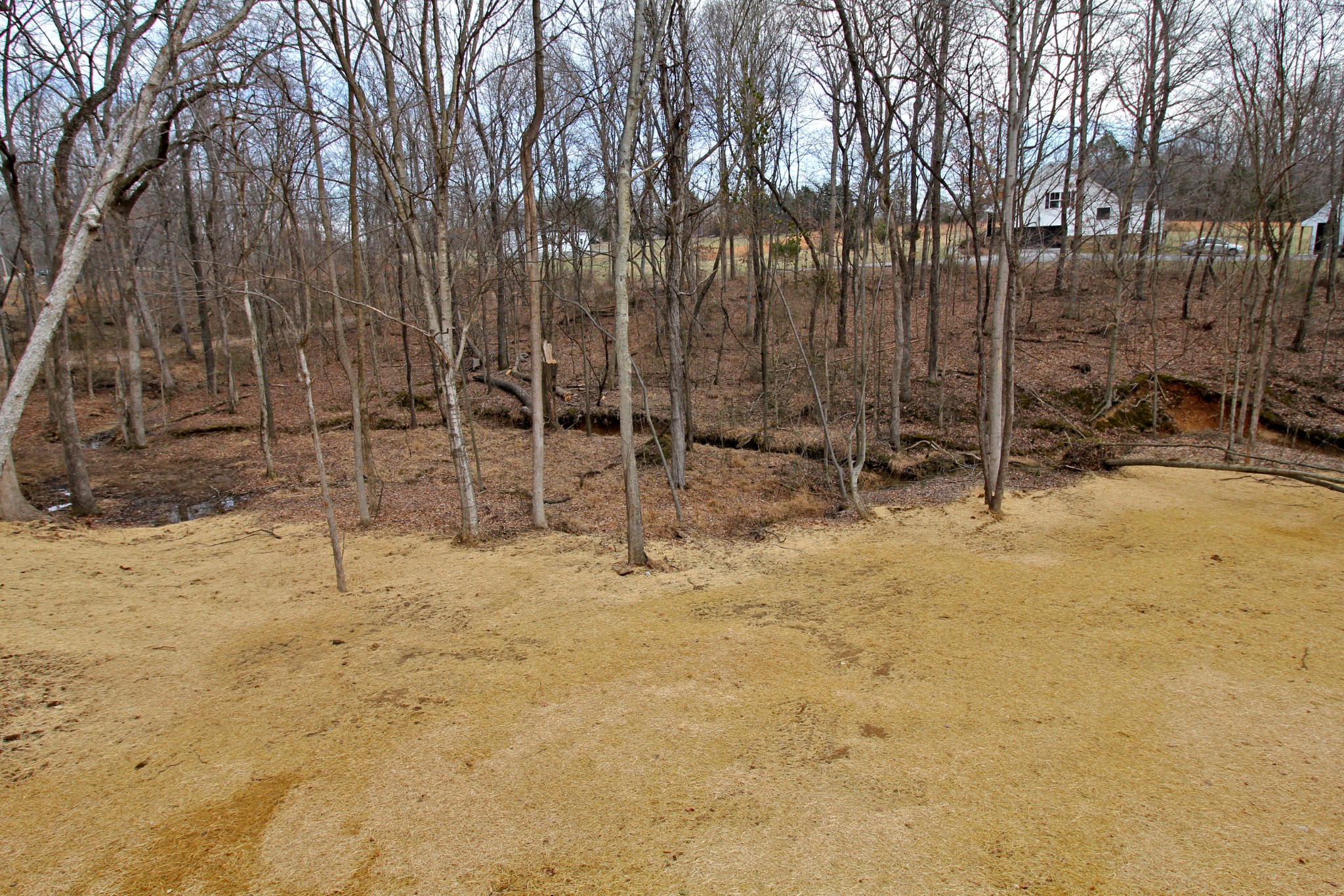 2935 Friendship Road Cross Plains, TN 37049 - Photo 31 of 35