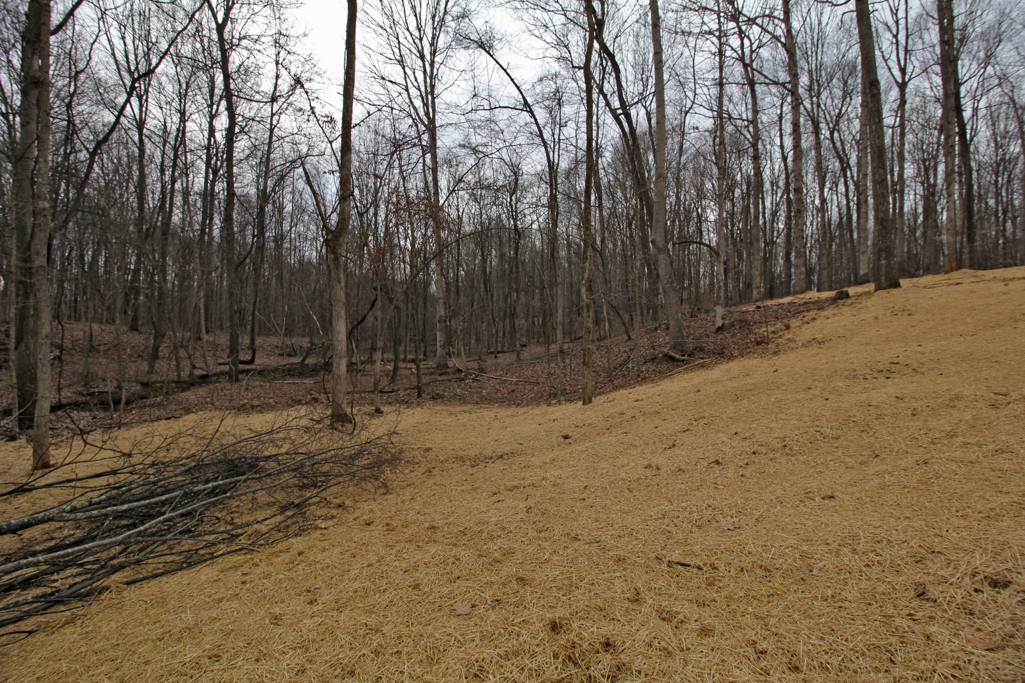 2935 Friendship Road Cross Plains, TN 37049 - Photo 32 of 35