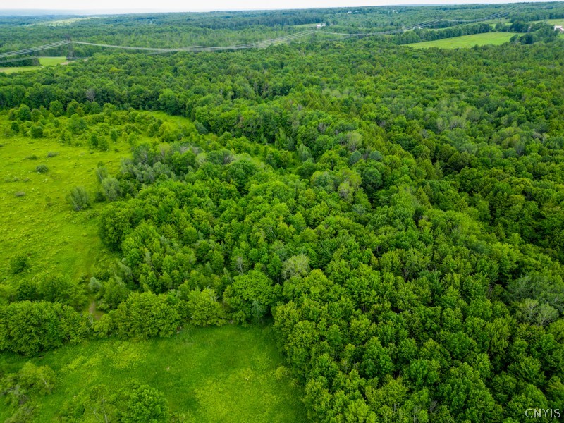 8031 Benson Road Floyd, NY 13354 - Photo 29 of 33