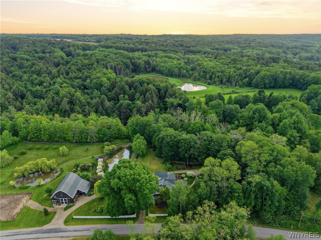 9788 Clarksburg Road Eden, NY 14057 - Photo 46 of 50 Gallery Image 46