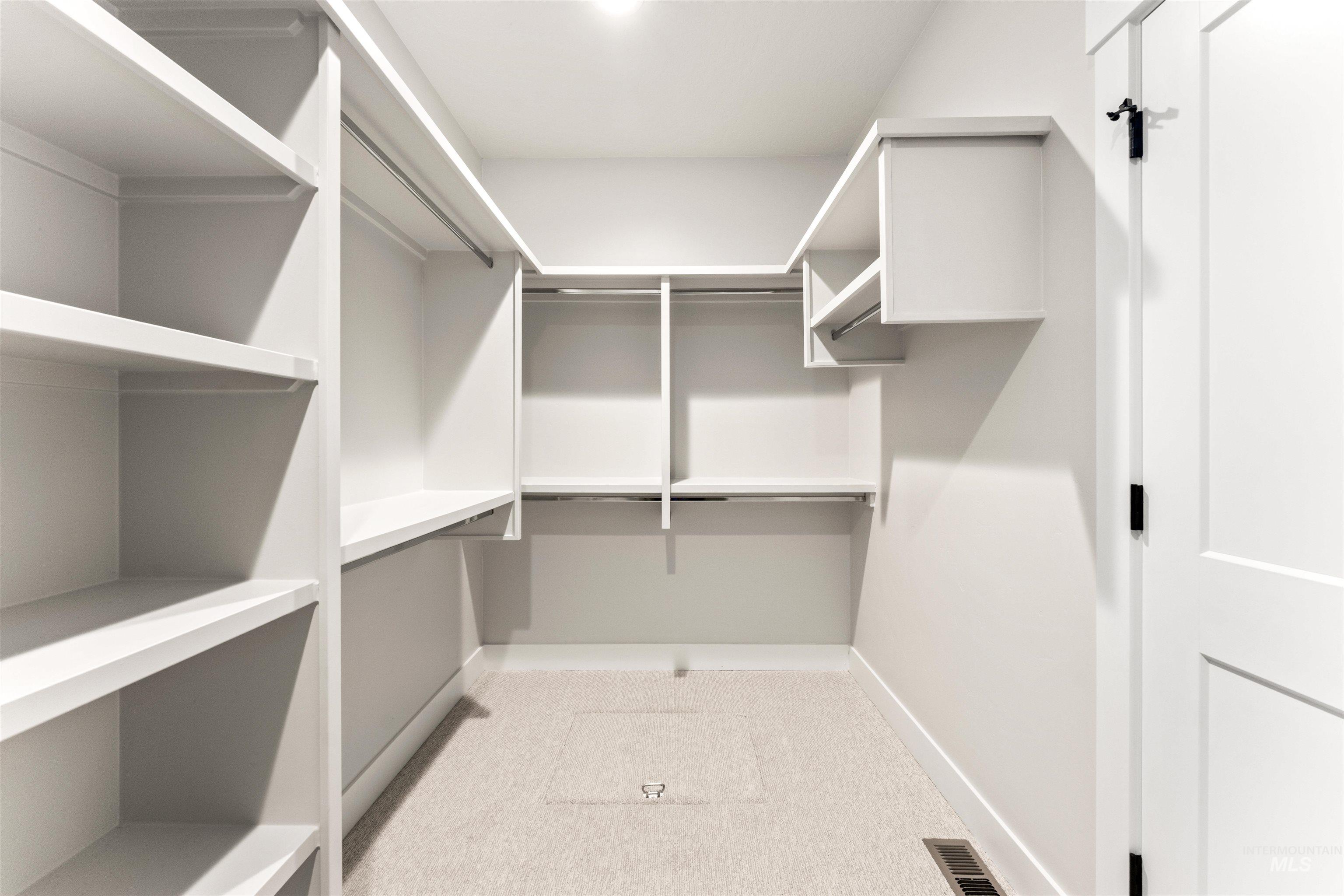 8084 Tandy Cv Street Middleton, ID 83644 - Photo 22 of 46 Walk in closet featuring light carpet