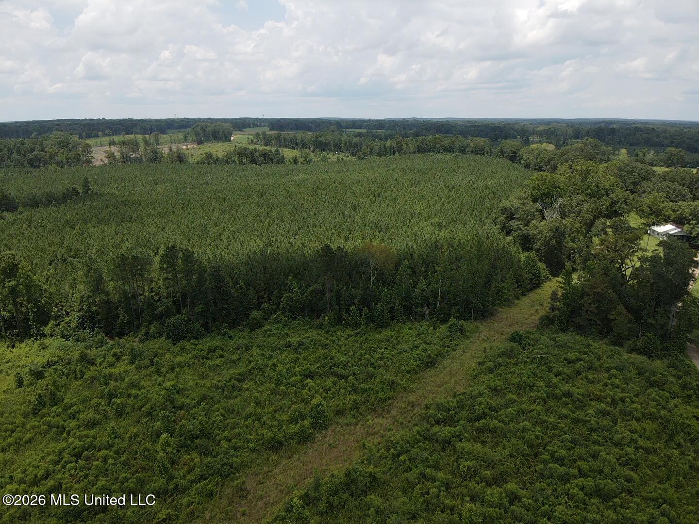 131 B County Road Morton, MS 39117 - Photo 2 of 25 2026-07-05-13-42-02-675
