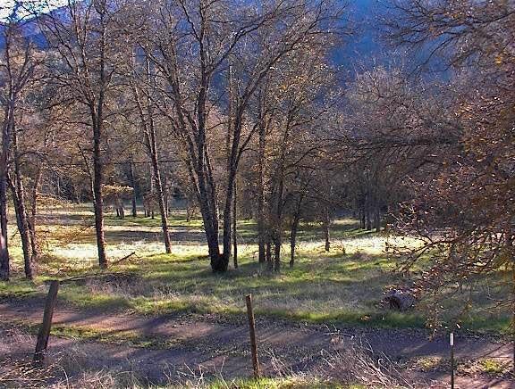 0 Hopewell Road Squaw Valley, CA 93675 - Photo 1 of 15 Gallery Image 1