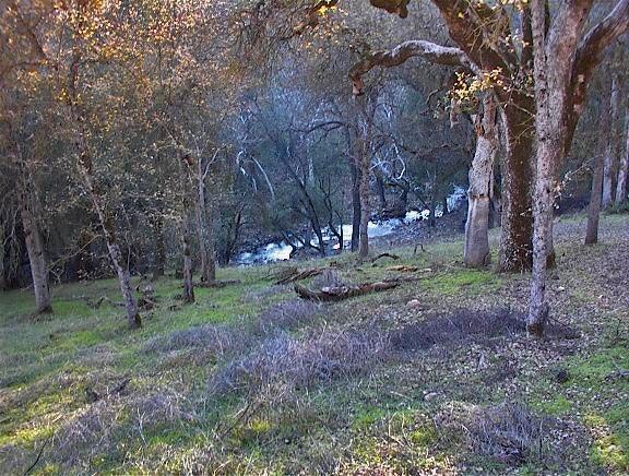 0 Hopewell Road Squaw Valley, CA 93675 - Photo 2 of 15 Gallery Image 2