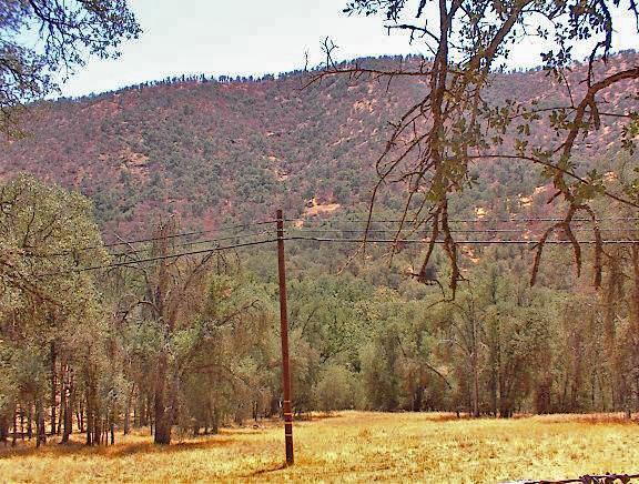 0 Hopewell Road Squaw Valley, CA 93675 - Photo 11 of 15 Gallery Image 11