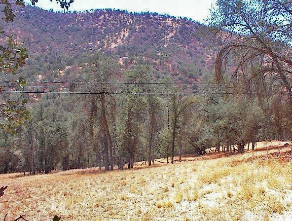 0 Hopewell Road Squaw Valley, CA 93675 - Photo 12 of 15 Gallery Image 12
