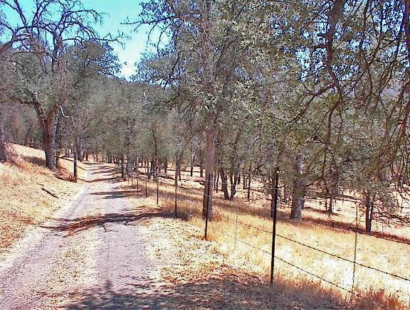 0 Hopewell Road Squaw Valley, CA 93675 - Photo 13 of 15 Gallery Image 13