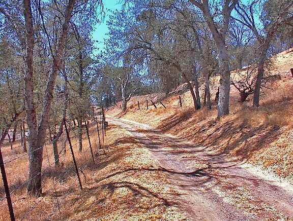 0 Hopewell Road Squaw Valley, CA 93675 - Photo 14 of 15 Gallery Image 14