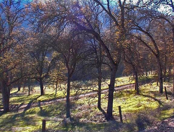 0 Hopewell Road Squaw Valley, CA 93675 - Photo 15 of 15 Gallery Image 15