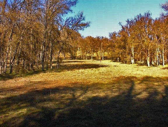 0 Hopewell Road Squaw Valley, CA 93675 - Photo 6 of 15 Gallery Image 6
