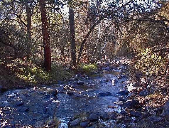 0 Hopewell Road Squaw Valley, CA 93675 - Photo 8 of 15 Gallery Image 8