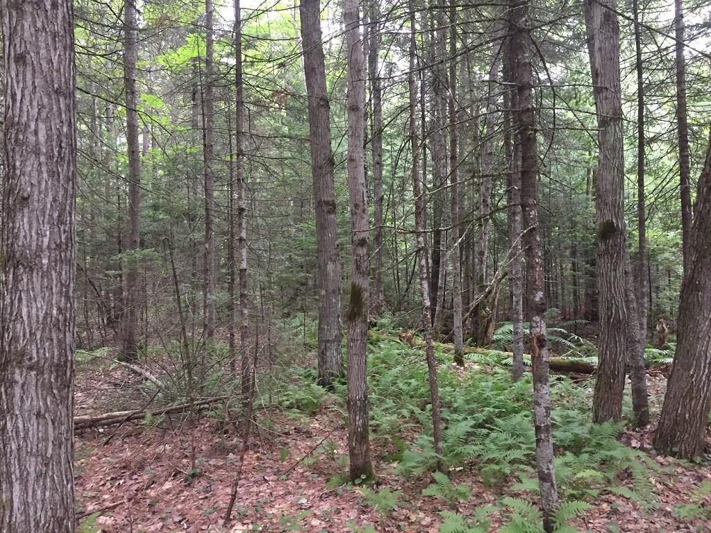 101 New Portland Road North Anson, ME 04958 - Photo 27 of 33 Photo