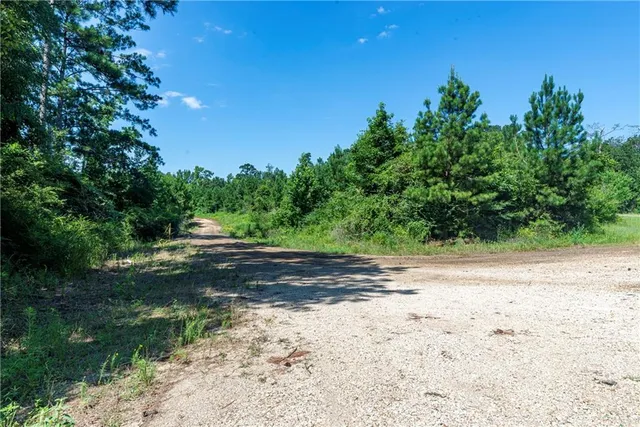 $58,700 | Lot 2 Mile Road, Pitkin, LA 70656