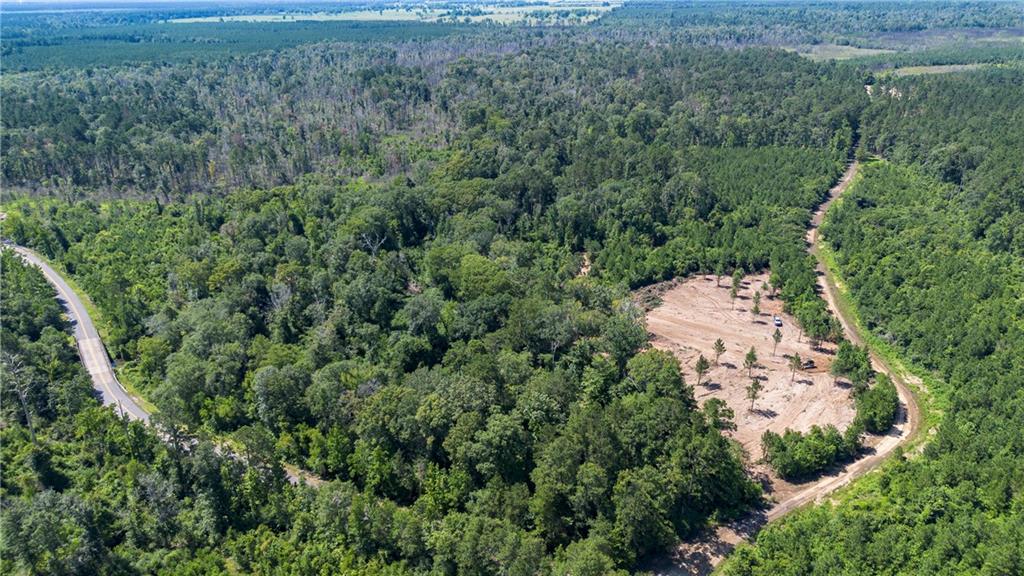 Lot 2 Mile Road Pitkin, LA 70656 - Photo 6 of 8